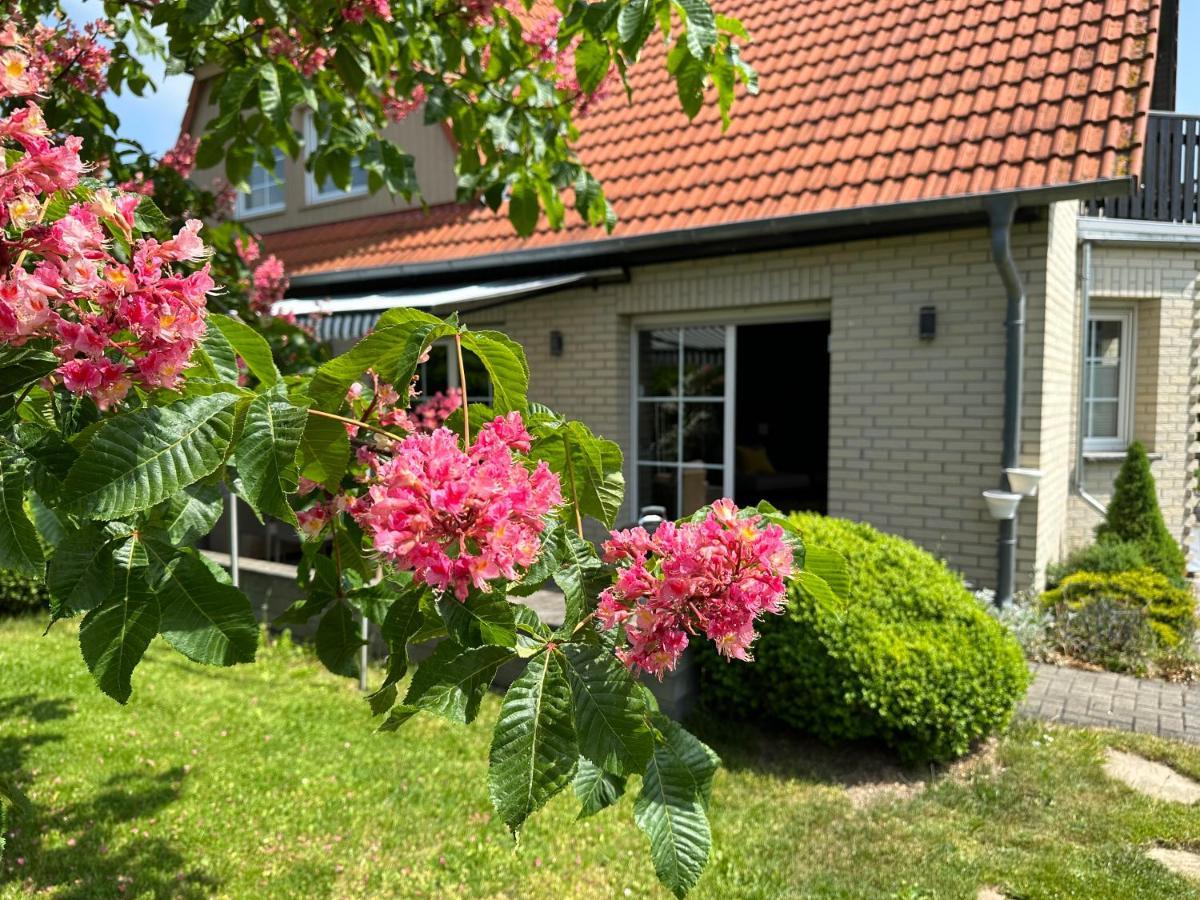 Apartmán Familienurlaub Im Gruenen Wernigerode Exteriér fotografie