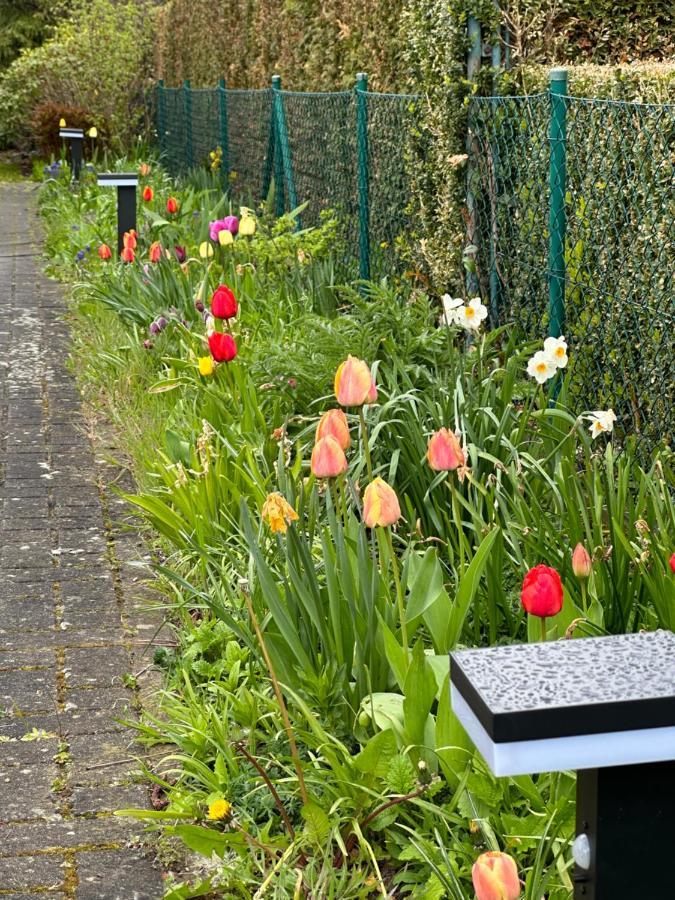 Apartmán Familienurlaub Im Gruenen Wernigerode Exteriér fotografie